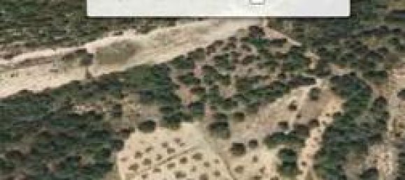  قطعة أرض في Valencia, Spain 11200متر مربع رقم 162463 2