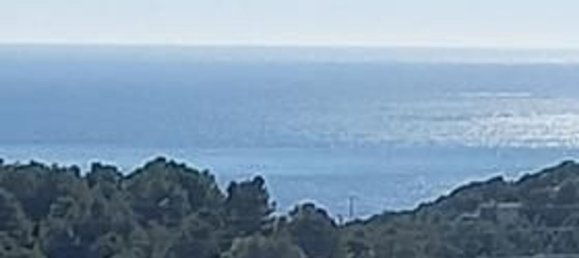 Земельный участок 3000м² в Алтея, Испания № 116791 9