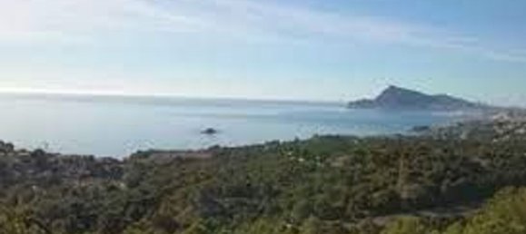 Земельный участок 3000м² в Алтея, Испания № 116791 8