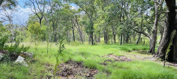 Haus in Gaeta, Australia, Nr. 1043 17