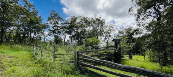 Haus in Gaeta, Australia, Nr. 1043 14