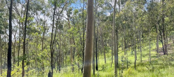 Haus in Gaeta, Australia, Nr. 1043 20