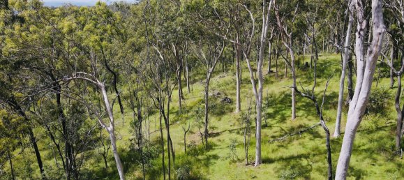 Haus in Gaeta, Australia, Nr. 1043 4