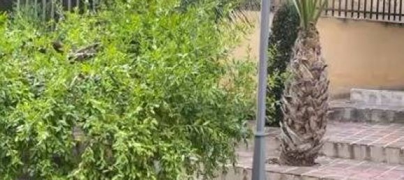 6 chambres Maison à El Palmar, Spain No. 140677 5