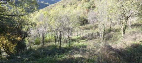 Entrepôt à Nave, Italy 110m² No. 351369 9