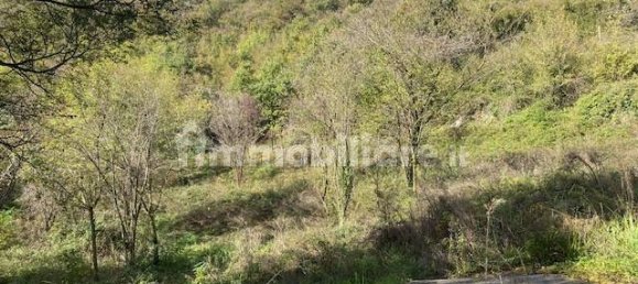 Entrepôt à Nave, Italy 110m² No. 351369 19