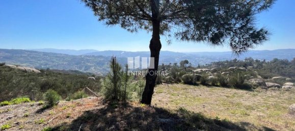 Grundstück in Marco de Canaveses, Portugal 2000m², Nr. 55441 6