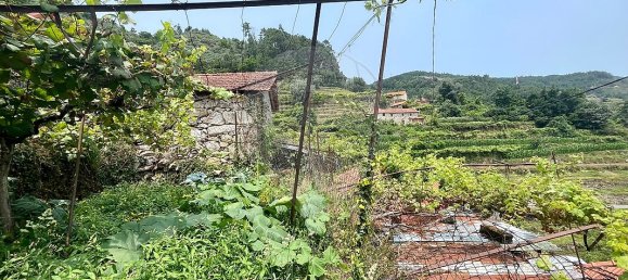 2 bedrooms House in Arcos de Valdevez, Portugal No. 16851 22