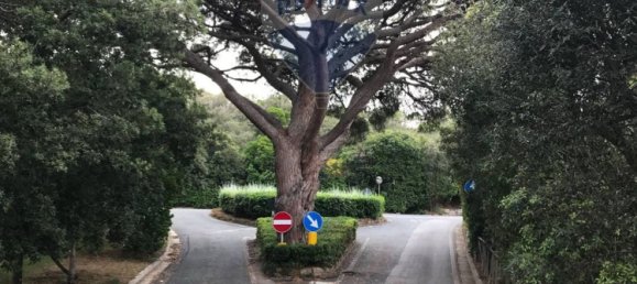 3 rooms Apartment in Castiglione della Pescaia, Italy No. 222301 54