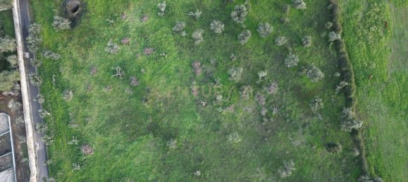 Grundstück in Loures, Portugal 8550m², Nr. 120043 20