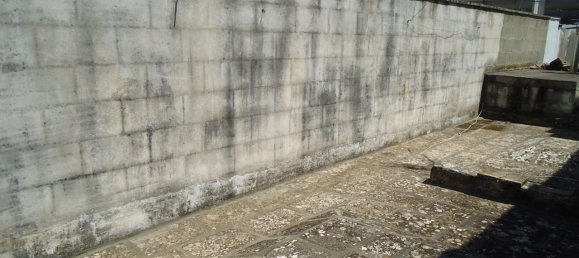 3-salle Maison à Matino, Italy No. 229427 14