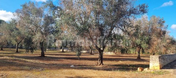 Terreno en San Vito dei Normanni, Italy 11027 m² No. 302165 4