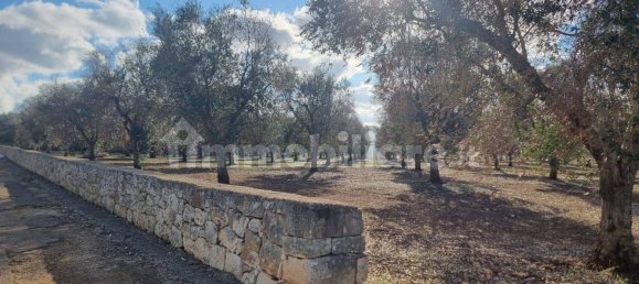 Terreno en San Vito dei Normanni, Italy 11027 m² No. 302165 5