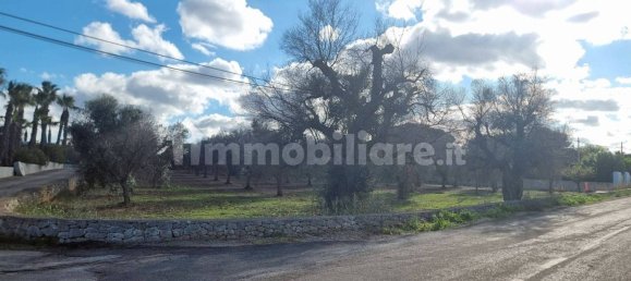 Terreno en San Vito dei Normanni, Italy 11027 m² No. 302165 3