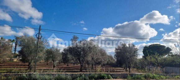 Terreno en San Vito dei Normanni, Italy 11027 m² No. 302165 2