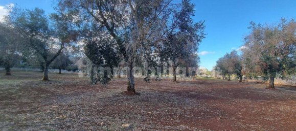 Terreno en San Vito dei Normanni, Italy 11027 m² No. 302165 6