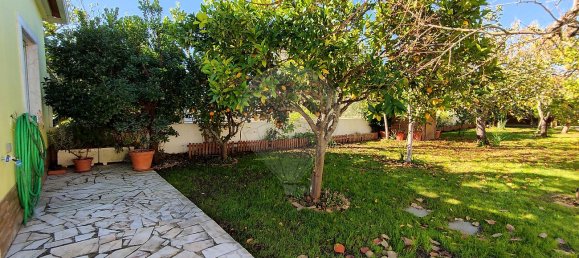 2 bedrooms House in Torres Novas, Portugal No. 17540 33