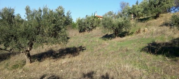 5000m² Hotel in Chalkidiki, Greece No. 8055 3