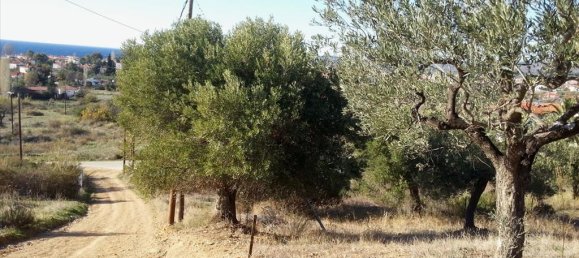 5000m² Hotel in Chalkidiki, Greece No. 8055 2