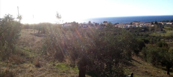 5000m² Hotel in Chalkidiki, Greece No. 8055 6