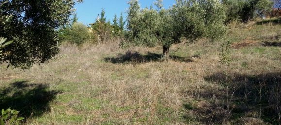 5000m² Hotel in Chalkidiki, Greece No. 8055 5