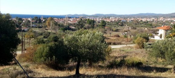 5000m² Hotel in Chalkidiki, Greece No. 8055 4