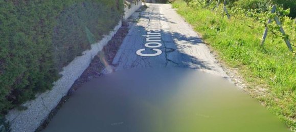 2000m² Warehouse in Campobasso, Italy No. 257603 2