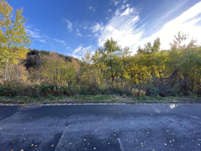 Terreno en Main-Kinzig, Germany No. 154908