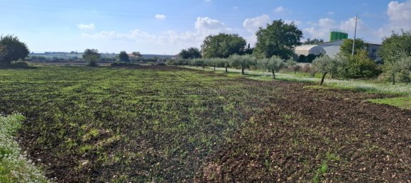 Villa de 4 habitaciónes en Modica, Italy No. 232694 7