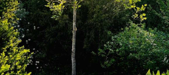 3 bedrooms Villa in Rottal-Inn, Germany No. 346371 17