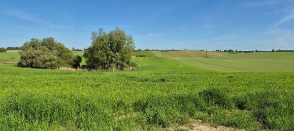 Apartamento de 3 habitaciónes en Mecklenburgische Seenplatte, Germany No. 368603 4