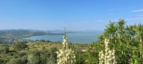 6 chambres Villa à Passignano sul Trasimeno, Italy No. 80868 19