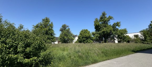 Land in Hochst, Austria No. 126209 3