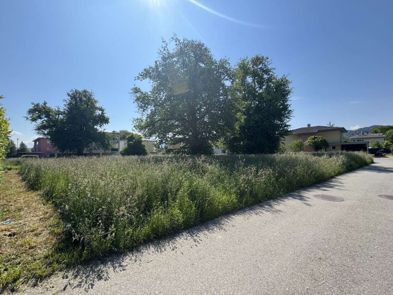  Land in Hochst, Austria No. 126209