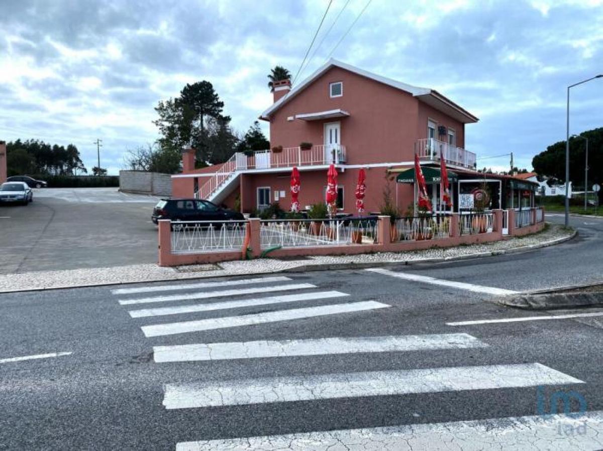  محل تجاري في Caldas da Rainha, Portugal 253متر مربع رقم 7985