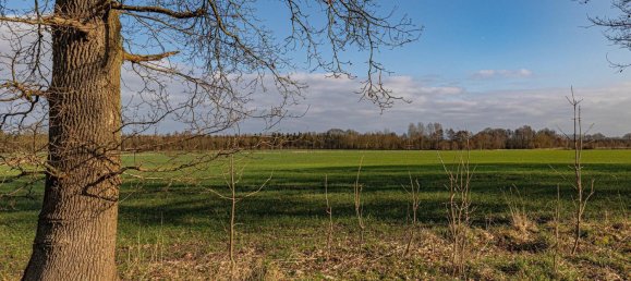 1 Schlafzimmer Wohnung in Rendsburg-Eckernförde, Germany, Nr. 369069 11