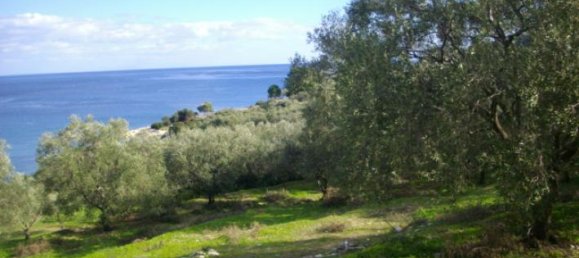 Grundstück in Zakynthos, Greece, Nr. 704 10