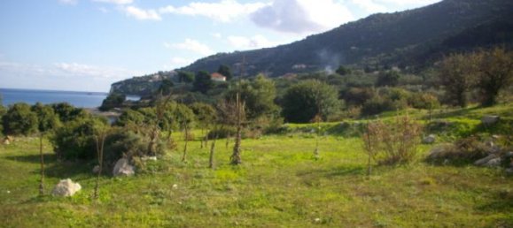 Grundstück in Zakynthos, Greece, Nr. 704 14