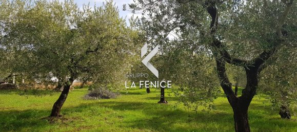 Studio in Locorotondo, Italy, Nr. 24527 15