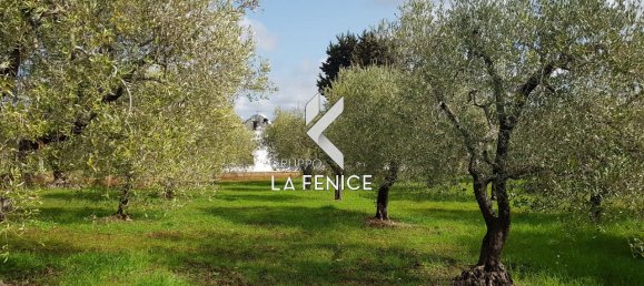 Studio in Locorotondo, Italy, Nr. 24527 5