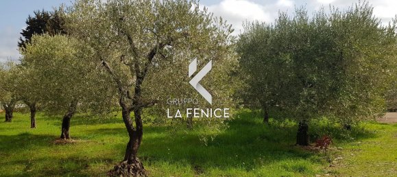 Studio in Locorotondo, Italy, Nr. 24527 6