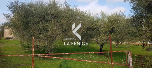 Studio in Locorotondo, Italy, Nr. 24527 11