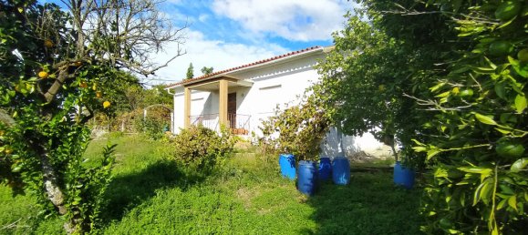 Дом с 3 спальнями в Томар, Португалия № 14508 2