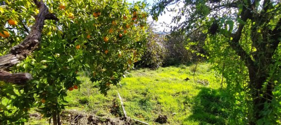 Дом с 3 спальнями в Томар, Португалия № 14508 40