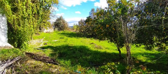 Дом с 3 спальнями в Томар, Португалия № 14508 42