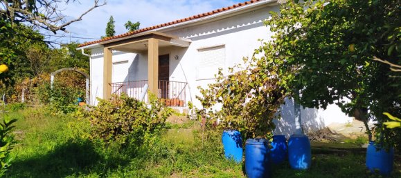 Дом с 3 спальнями в Томар, Португалия № 14508 44