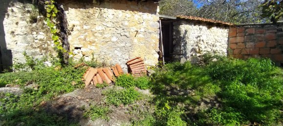 Дом с 3 спальнями в Томар, Португалия № 14508 24