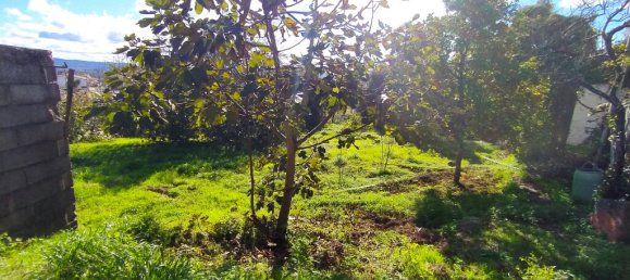 Дом с 3 спальнями в Томар, Португалия № 14508 38