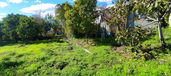 Дом с 3 спальнями в Томар, Португалия № 14508 39