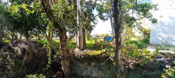 Дом с 3 спальнями в Томар, Португалия № 14508 36